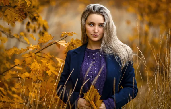Картинка осень, взгляд, листья, девушка, блондинка, Сергей Сорокин