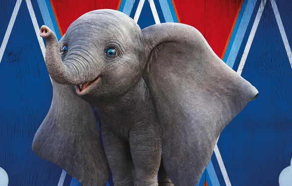 Картинка глаза, слон, мультфильм, цирк, уши, хобот, слоник, Dumbo, Дамбо