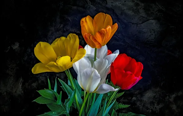 Картинка белый, цветы, оранжевый, желтый, красный, темный фон, тюльпан, букет, тюльпаны, разные