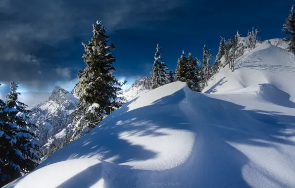 Картинка зима, снег, деревья, пейзаж, горы, природа, Австрия, ели, Альпы, сугробы, тени, Тироль