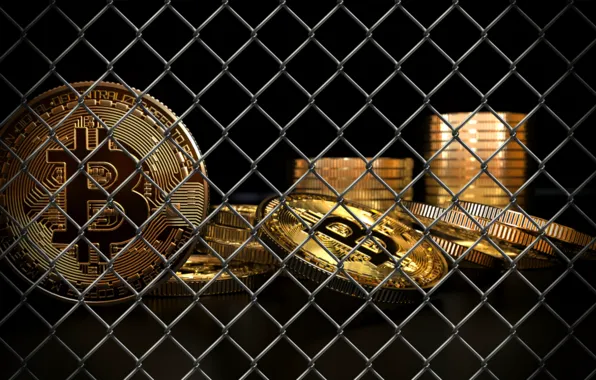 Картинка сетка, grid, ban, coins, bitcoin, биткоин, btc