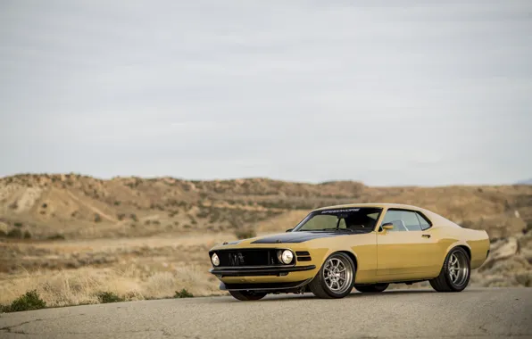 Картинка Mustang, Boss 302, 1970, Desert