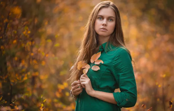 Картинка осень, взгляд, девушка, природа, лицо, милая, портрет, боке, длинноволосая, зеленое платье, русая, осенние листья, Lisa …