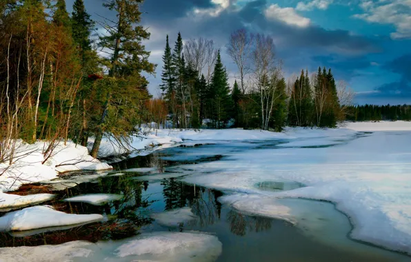 Картинка лес, снег, пейзаж, природа, озеро, лёд, весна, Канада