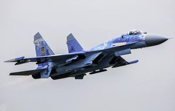 Картинка Aalborg Air Force Base, Ukrainian Air Force, Su-27 Flanker