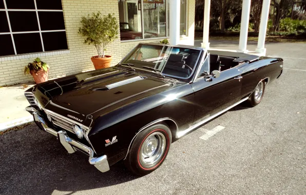 Картинка Chevrolet, Chevelle, Convertible, Muscle classic