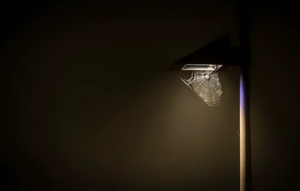 Картинка паутина, столб, светильник