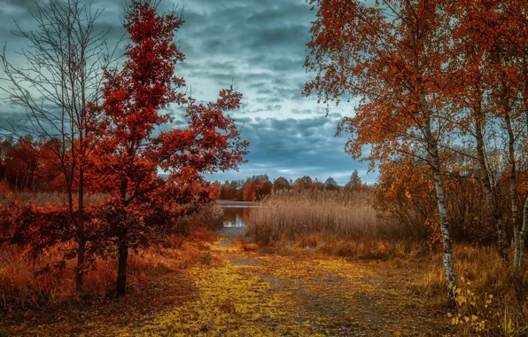 Картинка осень, озеро, берег