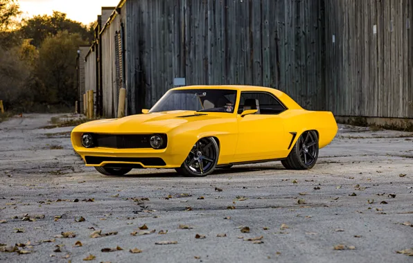 Картинка Chevrolet, 1969, Camaro, Front, Yellow, Side, Muscle Car, Front and Side
