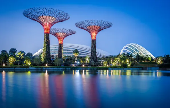 Картинка небо, вода, деревья, дизайн, огни, парк, вечер, Сингапур, Gardens by the Bay