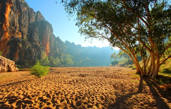 Картинка песок, деревья, скалы, Австралия, ущелье, Windjana gorge, The Kimberley in Western Australia