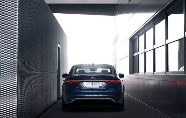 Картинка свет, Jaguar, фонари, седан, вид сзади, Jaguar XF, 2020, XF