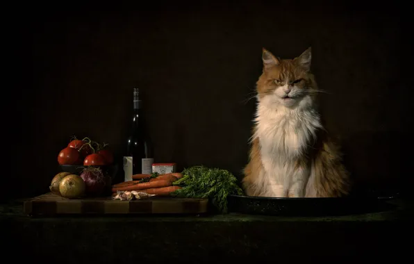 Картинка кошка, кот, взгляд, морда, поза, темный фон, стол, стена, вино, бутылка, еда, лук, рыжий, злой, …