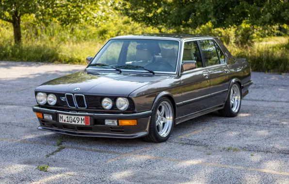 Картинка BMW, E28, 5-Series, 535I
