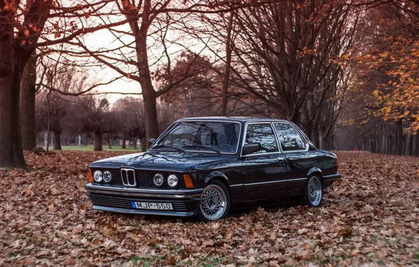 Картинка BMW, E21, 3-Series