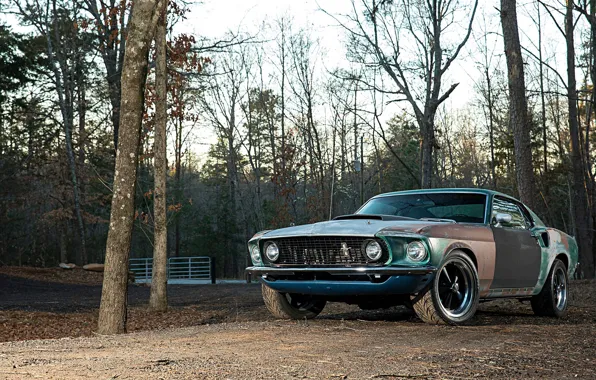 Картинка Boss 302, Ford Mustang, Coupe, Muscle car, Rat Rod