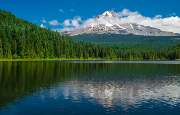 Картинка лес, облака, озеро, гора, Орегон, Oregon, Trillium Lake, Mount Hood, Каскадные горы, Cascade Range, Гора …