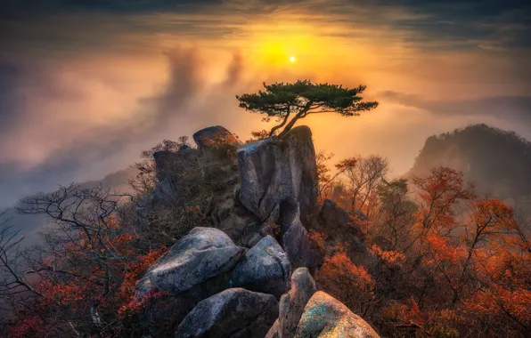 Картинка осень, небо, солнце, облака, деревья, горы, туман, камни, дерево, скалы, рассвет, склоны, вид, высота, утро, …