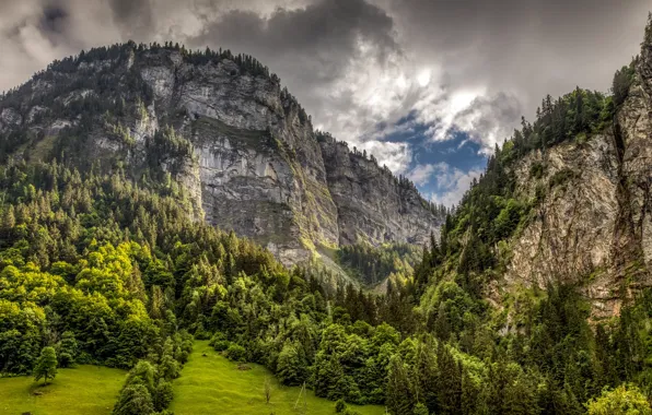 Картинка лес, облака, деревья, горы, скалы, Швейцария, Альпы, ущелье