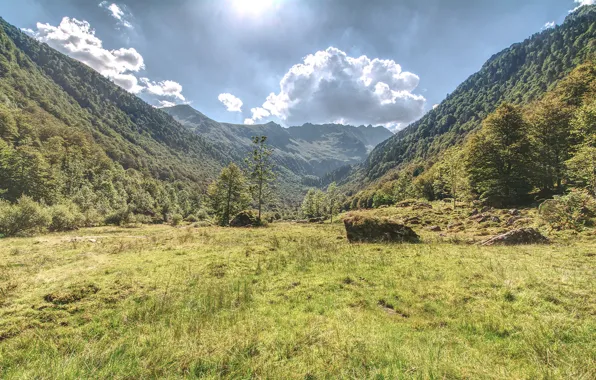 Картинка фото, Природа, Горы, Трава, Деревья, Альпы, Италия