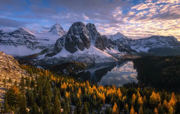 Картинка осень, лес, горы, озеро, Канада, Canada, British Columbia, Британская Колумбия, Гора Ассинибойн, Канадские Скалистые горы, …