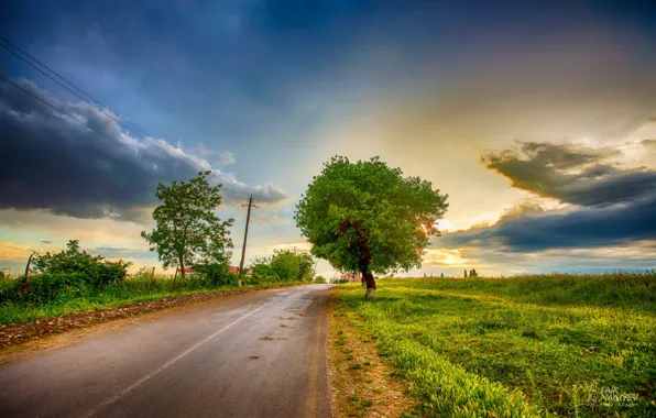 Картинка дорога, небо, облака, деревья, Faik Nagiyev