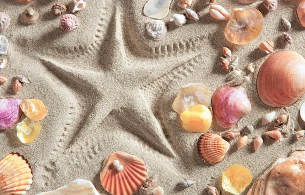 Картинка песок, пляж, фон, звезда, ракушки, summer, beach, background, sand, marine, starfish, seashells