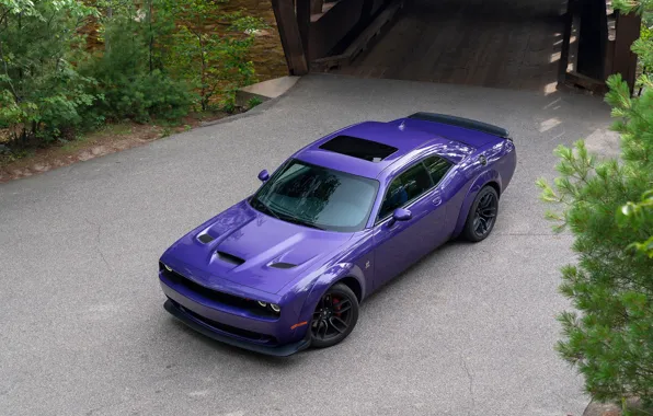 Картинка фиолетовый, Dodge, Challenger, R-T Scat Pack