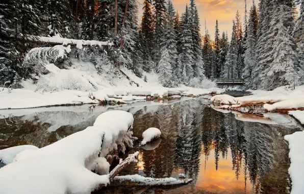 Картинка зима, лес, снег, закат, озеро, пруд, отражение, берег, ели, сугробы, мостик, водоем, зеркальное