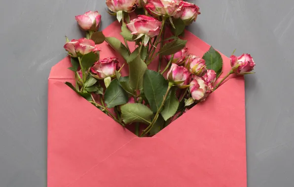 Картинка цветы, розы, конверт, Lazhko Svetlana