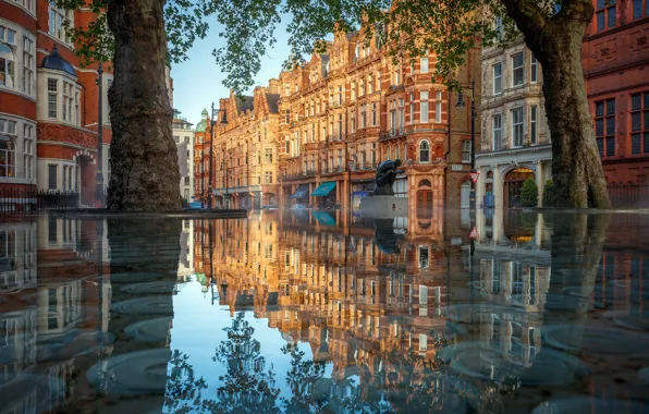 Картинка город, London, reflection