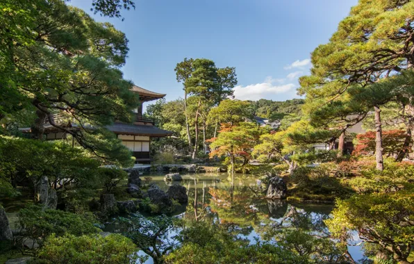 Картинка озеро, парк, камни, красота, Япония, Киото