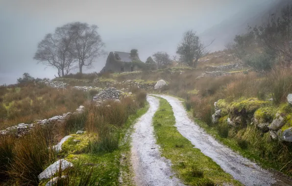 Картинка дорога, зелень, небо, трава, деревья, горы, природа, туман, дом, камни, забор, склон, Шотландия, холм, ограждение, …