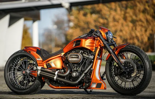 Картинка Harley-Davidson, Custom, Thunderbike, FXBRS, Gp-Style