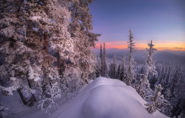 Картинка лес, снег, горы, Южный Урал