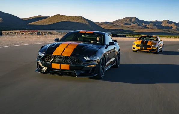 Картинка Mustang, Ford, Shelby, GT-S, 2019