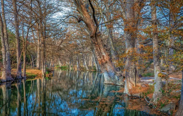 Картинка Texas, Wimberley, Cypress Creek