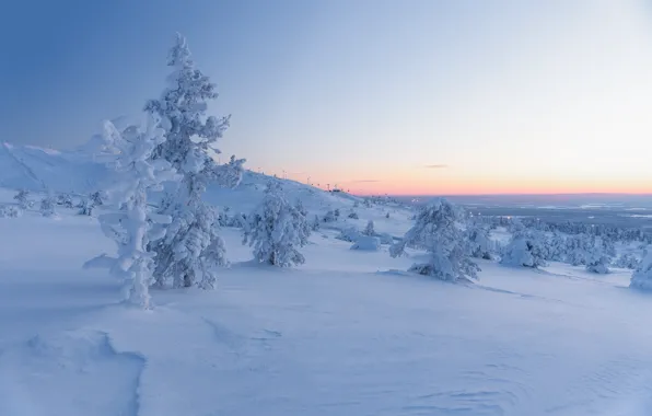 Картинка зима, лес, небо, снег, деревья, горы, в снегу, даль, ели, склон, горизонт, холм, сугробы, сосны, …