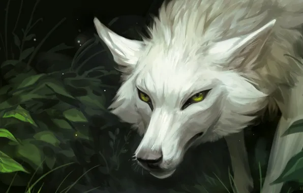 Картинка природа, волк, by Kipine