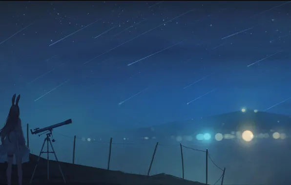 Картинка девушка, горы, ночь, телескоп, ушки, боке, звездопад