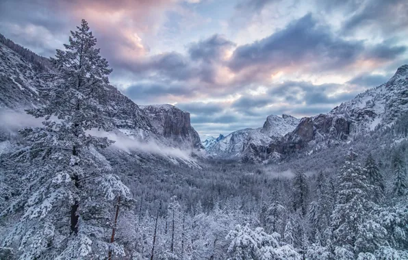 Картинка зима, лес, деревья, горы, долина, Калифорния, California, Yosemite Valley, Национальный парк Йосемити, Yosemite National Park, …