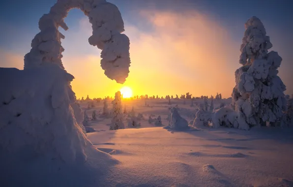 Картинка зима, небо, солнце, снег, деревья, закат, Базанов Андрей