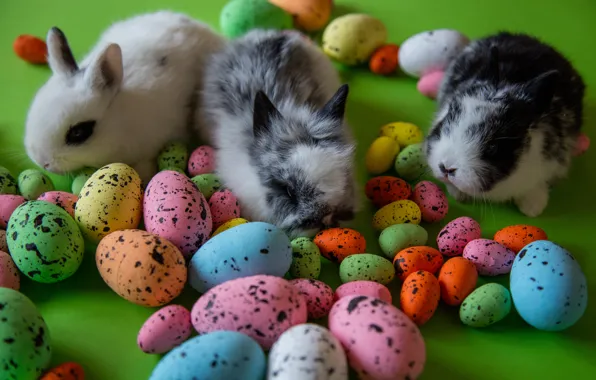 Картинка яйца, Пасха, кролики, крашенки