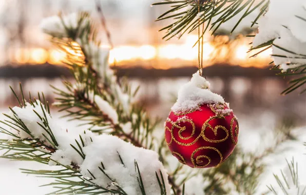 Картинка зима, снег, елка, шар, ветка, Новый Год, Рождество, christmas, winter, snow, merry, ball, decoration, fir …