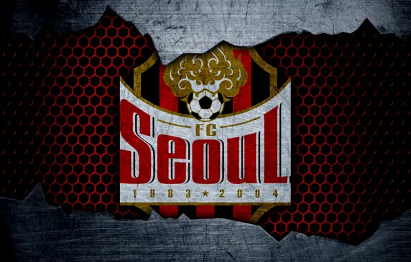 Картинка wallpaper, sport, logo, football, Seoul