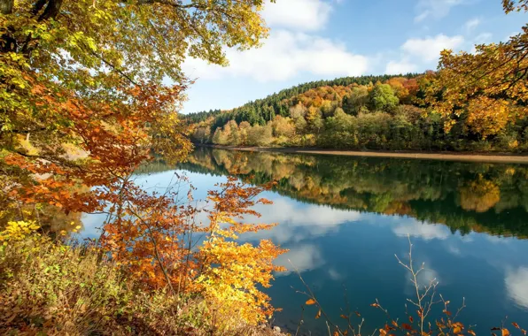 Картинка осень, лес, небо, пейзаж, природа, озеро, красота, жёлтые листья