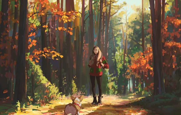 Картинка осень, лес, девушка, прогулка, корги