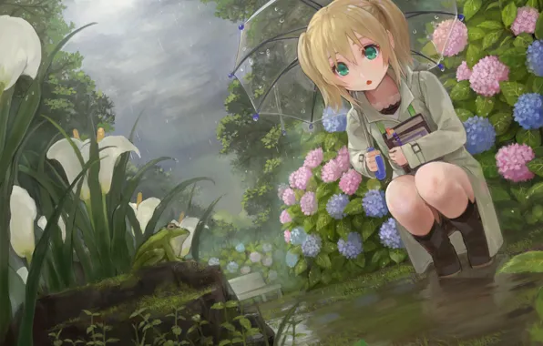 Картинка цветы, дождь, лягушка, зонт, сад, девочка, клумба