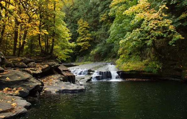 Картинка осень, лес, листья, пейзаж, природа, озеро, камни, водопад