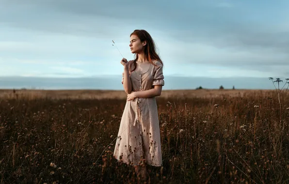 Картинка девушка, платье, травинка, в поле, Ульяна Найденкова